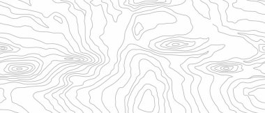 Kusursuz ahşap desen. Tahta dokusu. Yoğun hatlar. Soyut beyaz arkaplan. Vektör illüstrasyonu