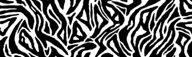 Zebra derisi, çizgili desen. Hayvan baskısı, siyah beyaz detaylı ve gerçekçi doku. Tek renkli, kusursuz bir altyapısı var. Vektör illüstrasyonu 