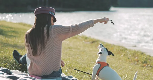 Junge Frau spielt mit Hund am Seeufer — Stockfoto