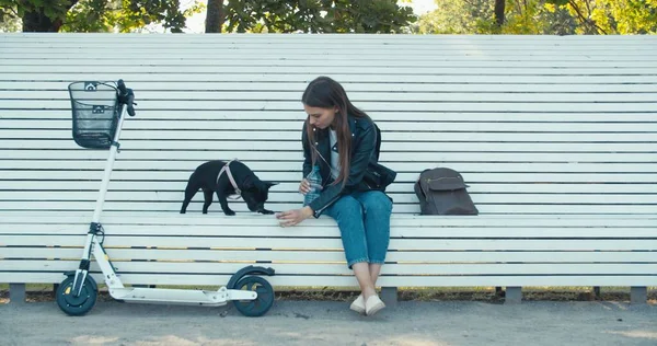 Mujer joven y perro — Foto de Stock