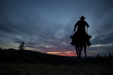 Cowboy on a horse clipart