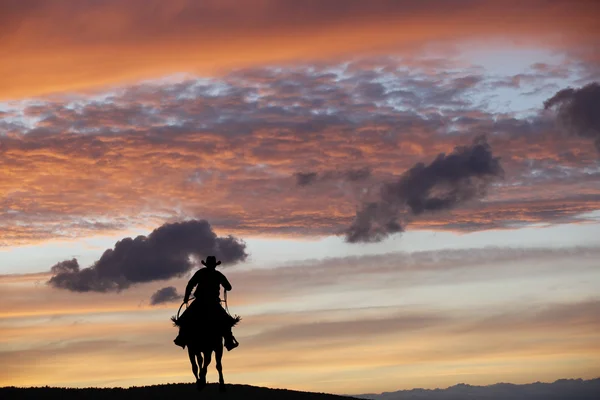 Cowboy on a horse — Stock Photo, Image