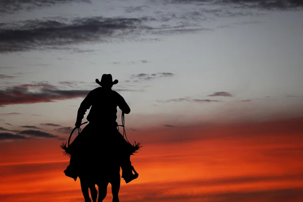 Cowboy auf einem Pferd — Stockfoto