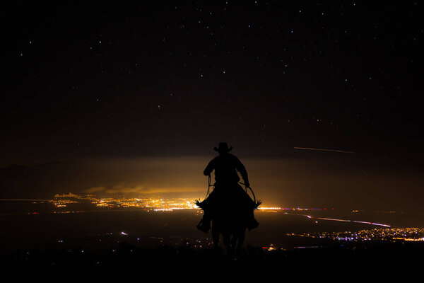 Ковбой на коне
