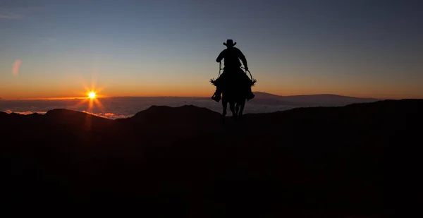 Cowboy em um cavalo — Fotografia de Stock