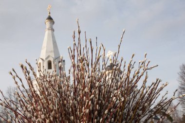 Ortodoks Kilisesi arka planda bir söğüt bir buket