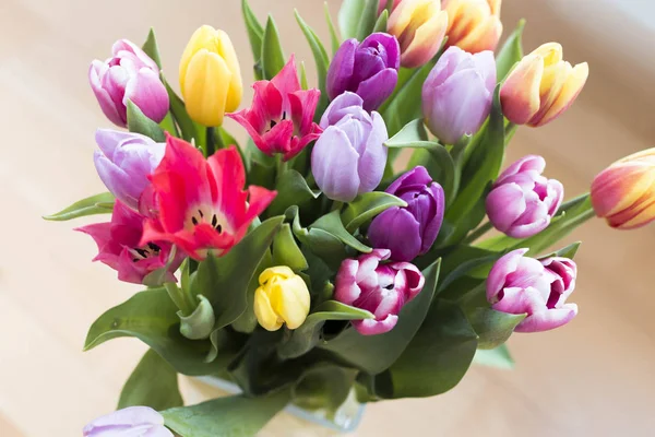 Bouquet de tulipes printanières — Photo