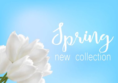 Yeni koleksiyon yazıt çiçekli. Vektör çizim