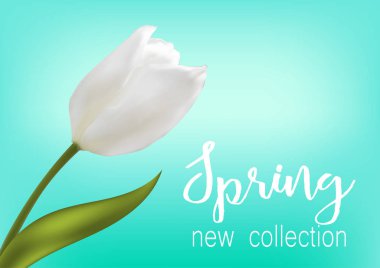 Yeni koleksiyon yazıt çiçekli. Vektör çizim