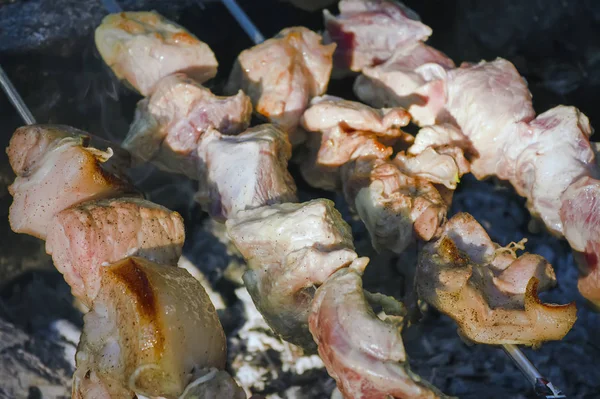Shish kebab sur des brochettes est frit sur un brasero fait de pierres dans la forêt . — Photo