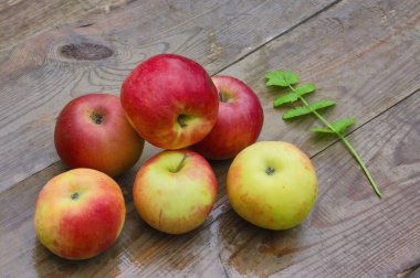 Ahşap eski bir masanın arka planında yağmur damlalarıyla kaplı olgun kırmızı elmalar..