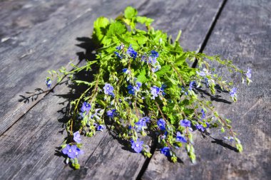 Ahşap bir masanın arka planına karşı Orman Mavisi çiçekler.