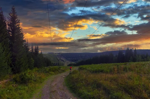 Paesaggio estivo nella foresta sullo sfondo di un bellissimo tramonto . — Foto Stock