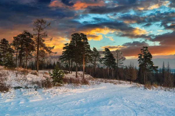 Färgglad solnedgång i vinterskogen. Vackert vinterlandskap i fjällen. Soluppgång. — Stockfoto