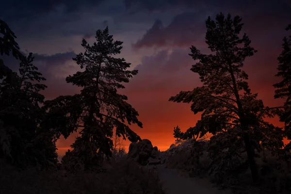 Farbenfroher Sonnenuntergang im Winterwald. wunderschöne Winterlandschaft in den Bergen. Sonnenaufgang. — Stockfoto