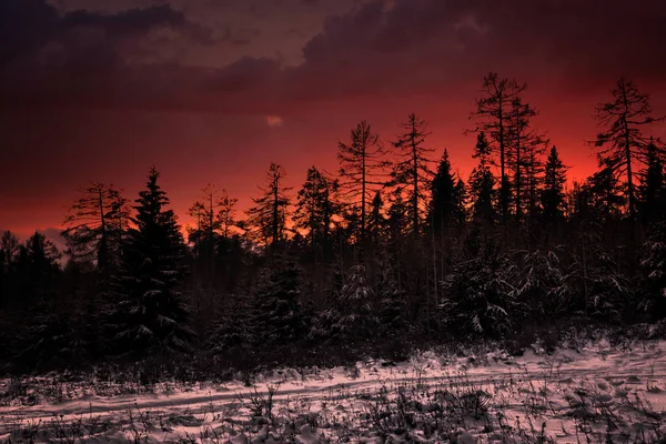 Farbenfroher Sonnenuntergang im Winterwald. wunderschöne Winterlandschaft in den Bergen. Sonnenaufgang. — Stockfoto