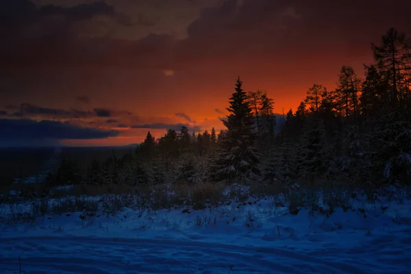 Farbenfroher Sonnenuntergang im Winterwald. wunderschöne Winterlandschaft in den Bergen. Sonnenaufgang. — Stockfoto