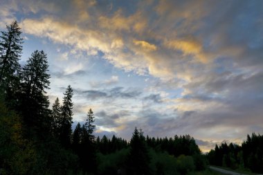 Sonbaharda Ural Dağları orman kenarında günbatımı.