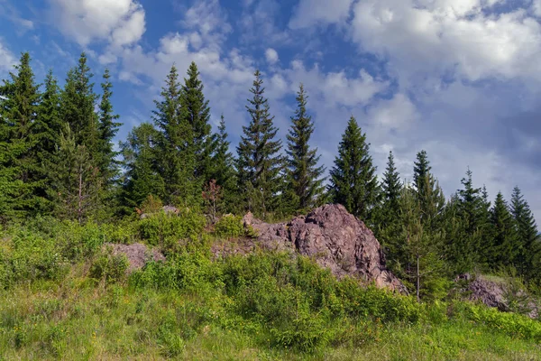 Paesaggio bosco di abeti di inizio autunno nelle montagne degli Urali . — Foto Stock