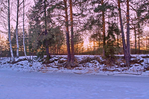 Kleurrijke zonsondergang in het winterbos. Prachtig winterlandschap in de bergen. Zonsopgang. — Stockfoto