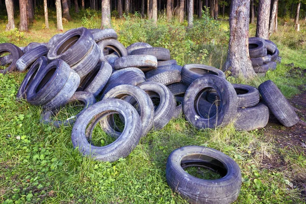 Neumáticos de camiones viejos en el bosque. Vertedero no autorizado. Problema de contaminación ambiental . — Foto de Stock