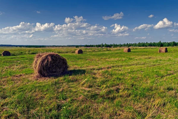 Haystack egy kaszált réten szemben a kék ég nyári vidéki táj. — Stock Fotó