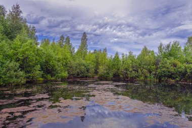 Pürüzsüz su yüzeyinde yansıtan güzel sonbahar ağaçları. Nehirde sıcak sonbahar günü. Nehir kıyısında manzara.