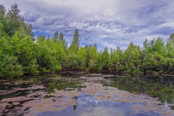 Pürüzsüz su yüzeyinde yansıtan güzel sonbahar ağaçları. Nehirde sıcak sonbahar günü. Nehir kıyısında manzara.