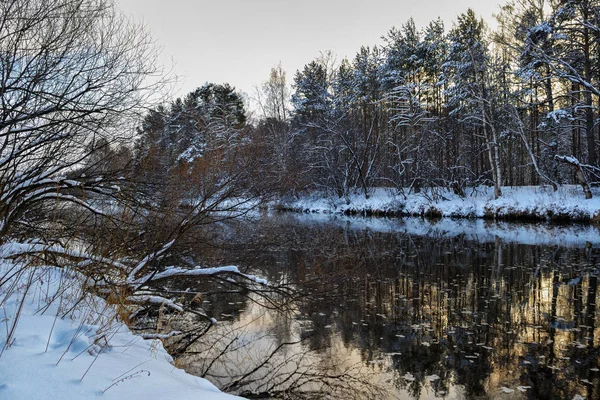 Paisaje invernal al atardecer junto a un lago nevado. Bosque de invierno . — Foto de Stock