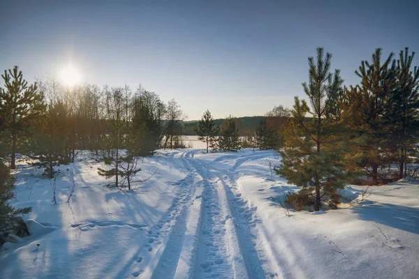 Winterlandschap bij zonsondergang door een besneeuwd bosmeer. Winterbos. — Stockfoto