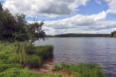 Bir orman gölünün kıyısındaki yaz manzarası. Orman gölü Mavi bulutlu gökyüzünün altında.