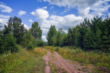 Mavi gökyüzü ve beyaz bulutlar üzerinde yaz manzarası orman yolu.
