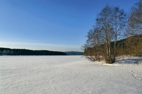 Paesaggio Invernale Con Alberi Innevati Bellissimo Lago Ghiacciato Canne Gialle — Foto Stock