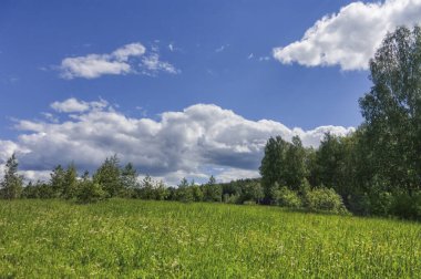 Mavi gökyüzü ve beyaz bulutların arkaplanına uzanan bir yamaçta çimenleri olan çayır. Bulutlu mavi gökyüzüne karşı yaz tarlası.