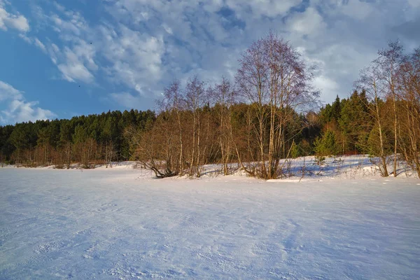 Winterlandschap Met Besneeuwde Bomen Mooi Bevroren Meer Geel Riet Bij — Stockfoto