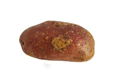 Kabukta haşlanmış patates. İzole edilmiş, yatay. kaybet-up.