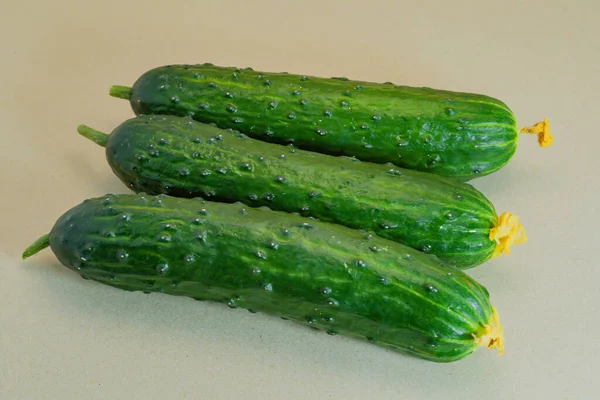 Three Fresh Green Cucumbers Close Grey Background — Stock Photo, Image