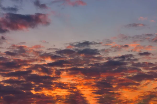 Lente Avond Hemel Pittoreske Wolken Verlicht Door Stralen Van Ondergaande — Stockfoto