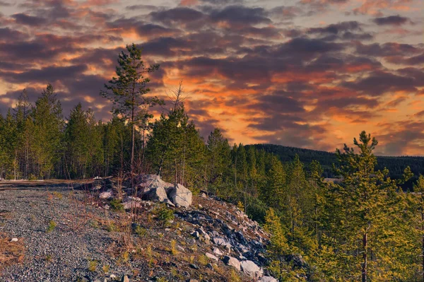 Paesaggio Primaverile Nella Foresta Montagna Sullo Sfondo Bellissimo Tramonto — Foto Stock