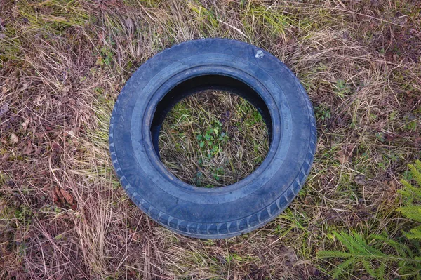 在去年干草的背景下 一个旧汽车轮胎的特写 — 图库照片