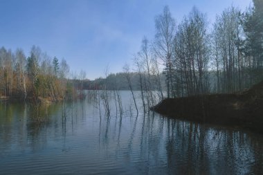 Bir orman gölü kıyısında berrak şeffaf mavi sularla bahar manzarası..