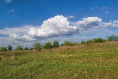 Erken bahar ağaçlarını gökyüzüne ve bulutlara karşı açık yapraklarla süsle.