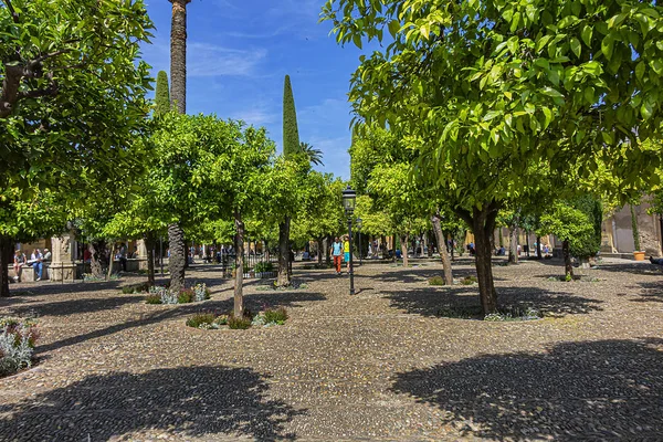 Cordoba Spanje Juni 2018 Binnenplaats Van Beroemde Moskee Kathedraal Van — Stockfoto