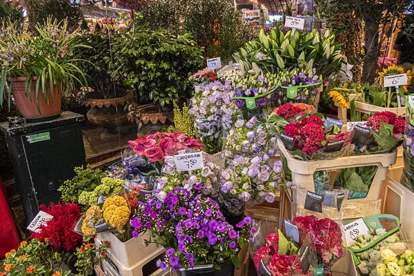 Амстердам Нидерланды Августа 2019 Года Свежие Тюльпаны Луковицы Искусственные Цветы — стоковое фото