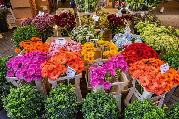 Амстердам Нидерланды Августа 2019 Года Свежие Тюльпаны Луковицы Искусственные Цветы — стоковое фото