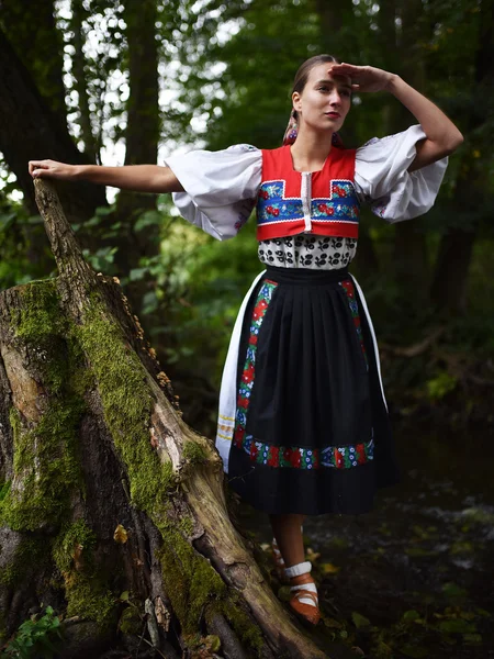 Slovakiska Folklore Slovakisk Folklore Flicka — Stockfoto