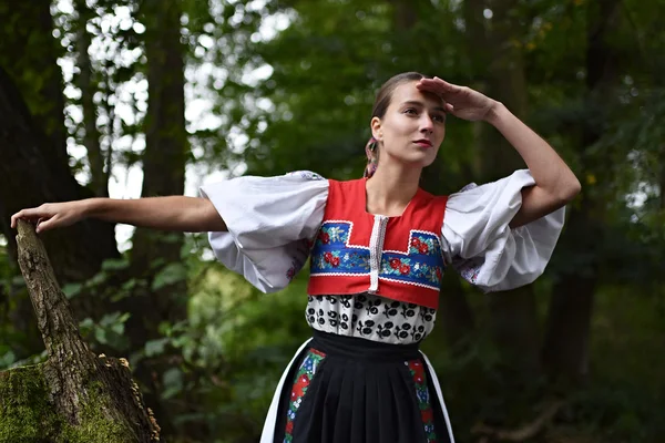 Slovakiska Folklore Slovakisk Folklore Flicka — Stockfoto