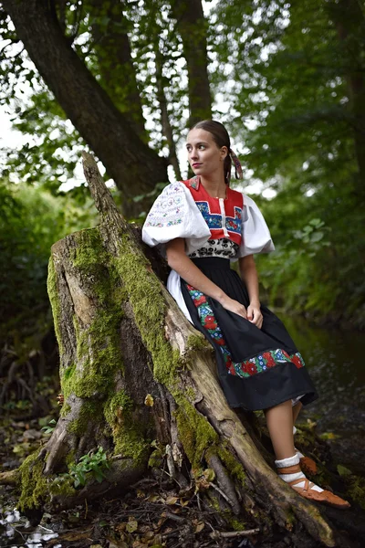 Folklor Słowacki Słowacka Dziewczyna Folkloru — Zdjęcie stockowe