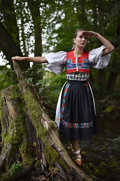 Folklor Słowacki Słowacka Dziewczyna Folkloru — Zdjęcie stockowe