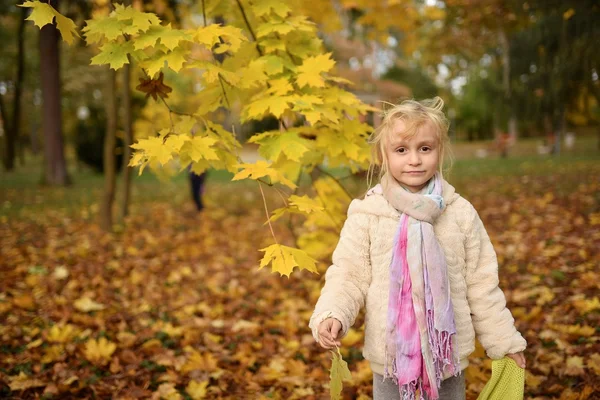 Liten Flicka Spelar Med Blad Höst Park — Stockfoto